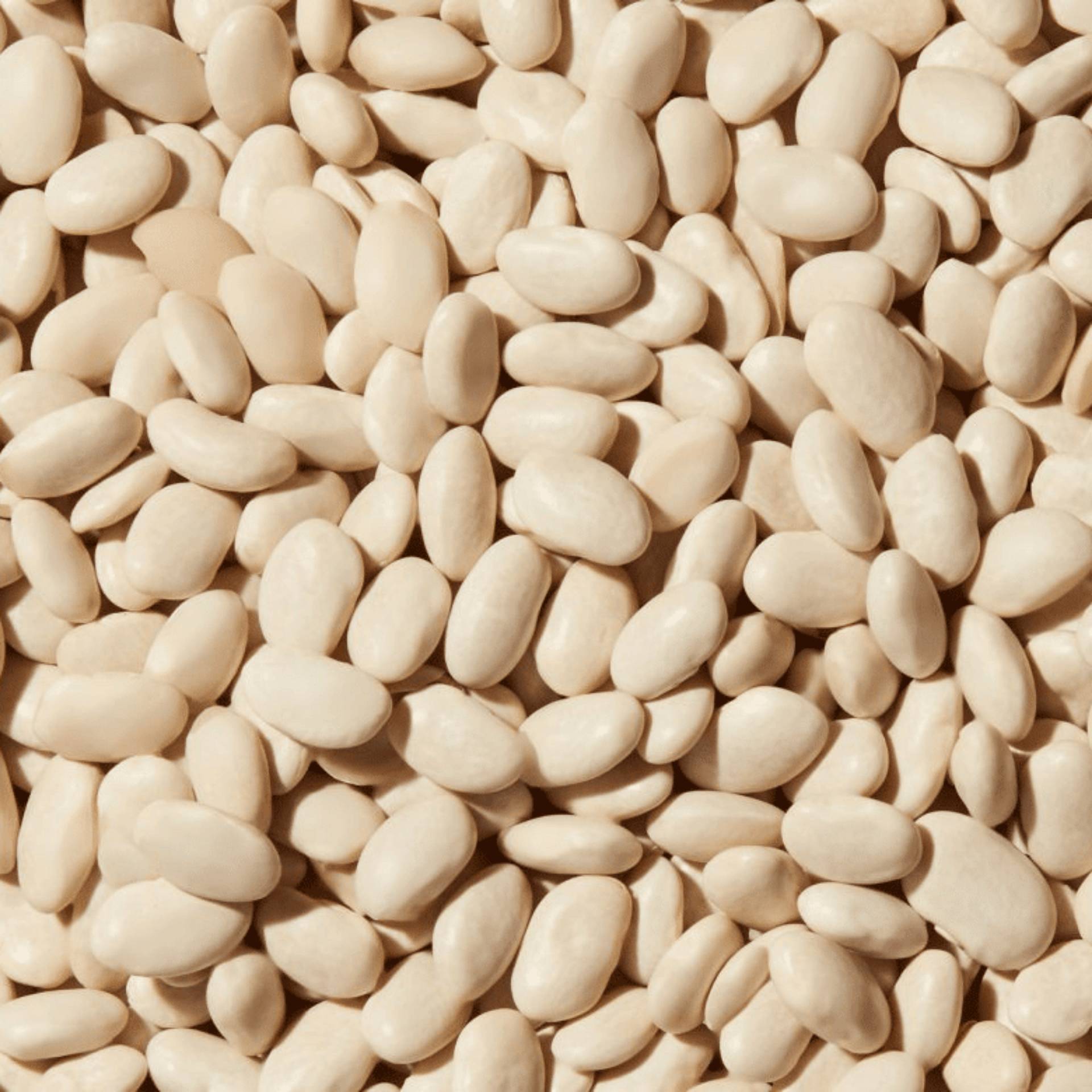 CASSOULET_0