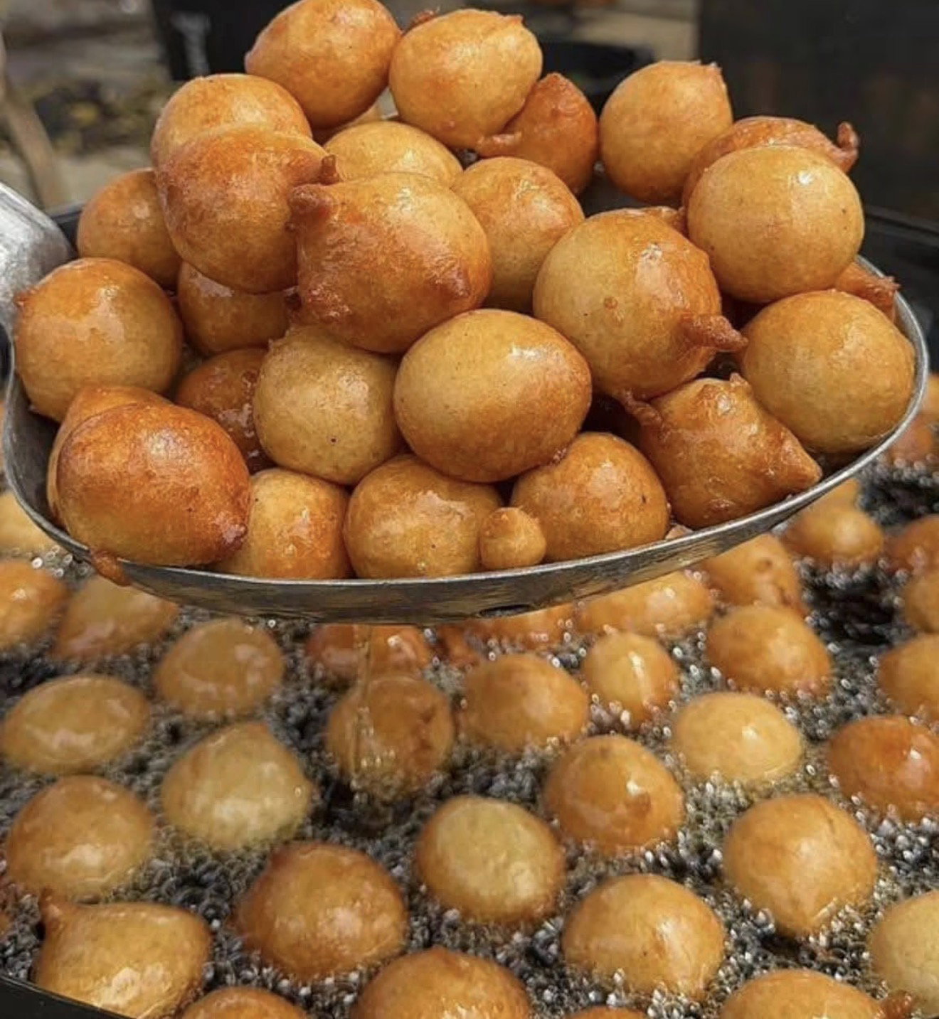Ginas Bites_5
