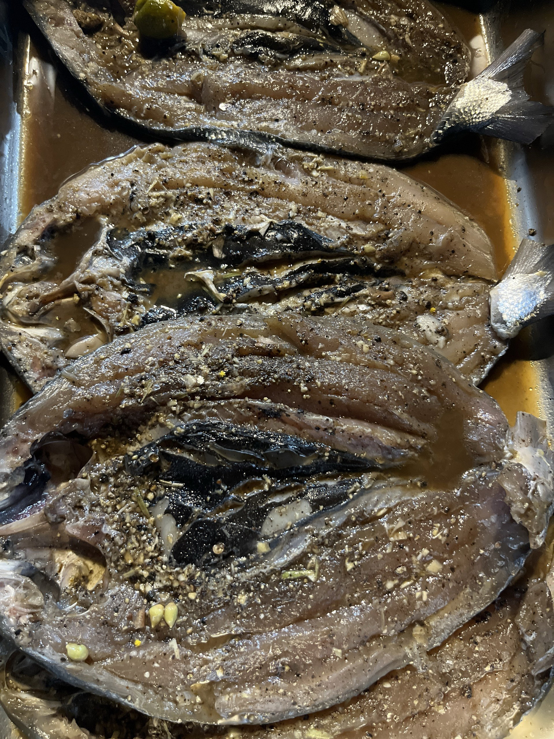 Bangus