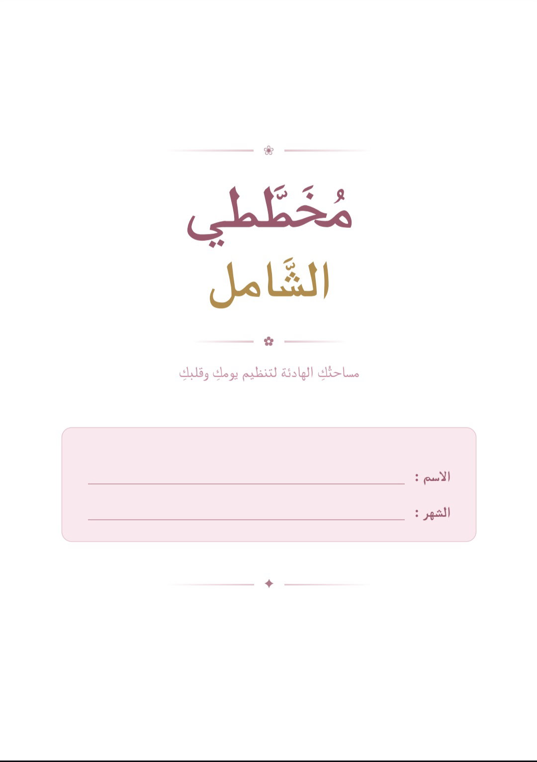 المخطط الشامل 