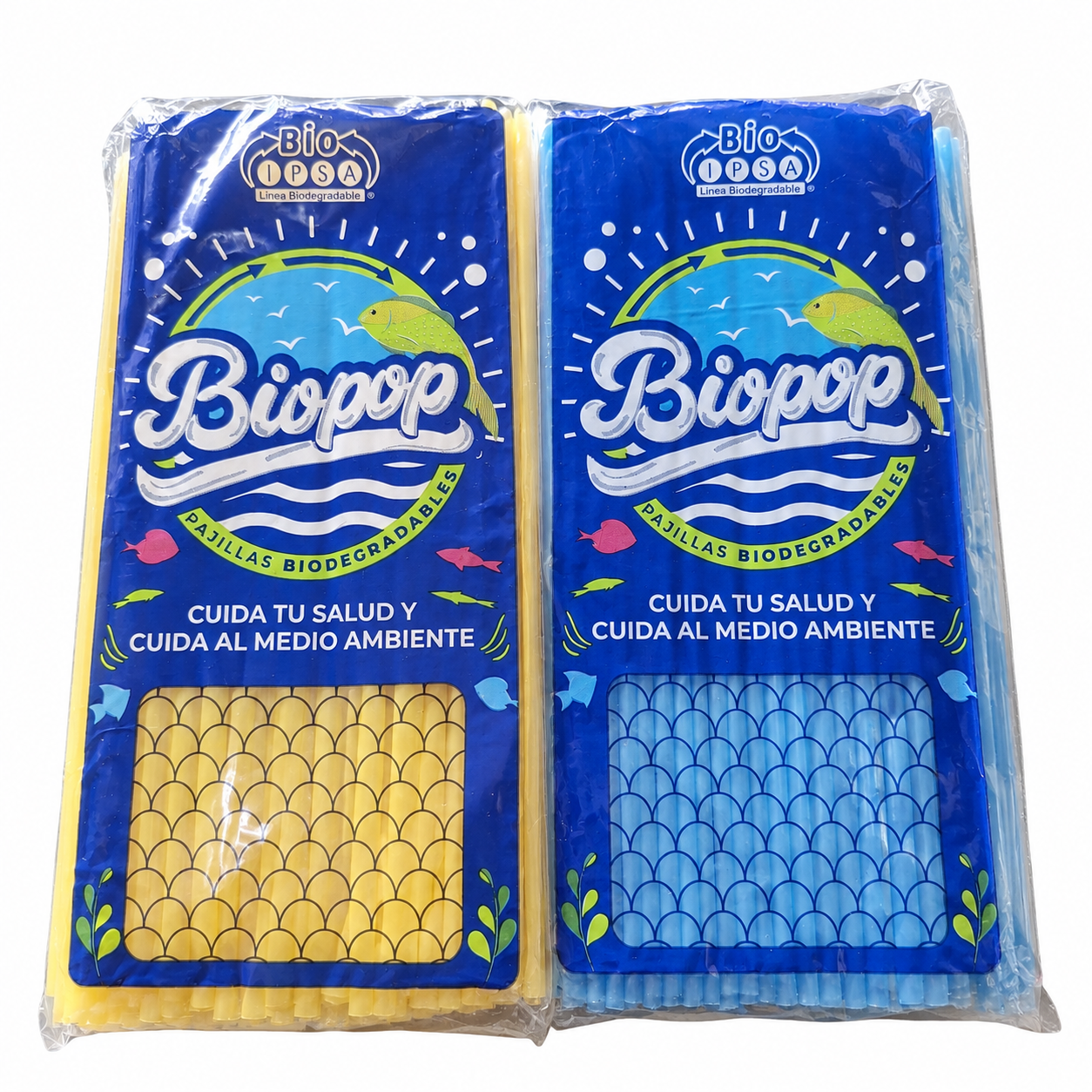 PAJILLA DURA_0