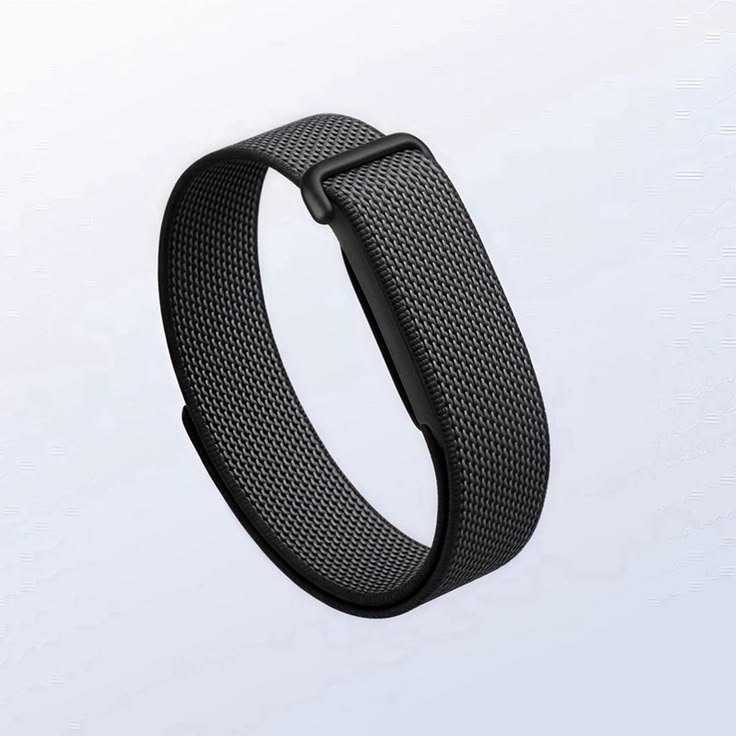 Google Fitbit Air_0