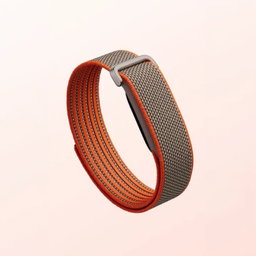 Google Fitbit Air