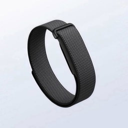 Google Fitbit Air