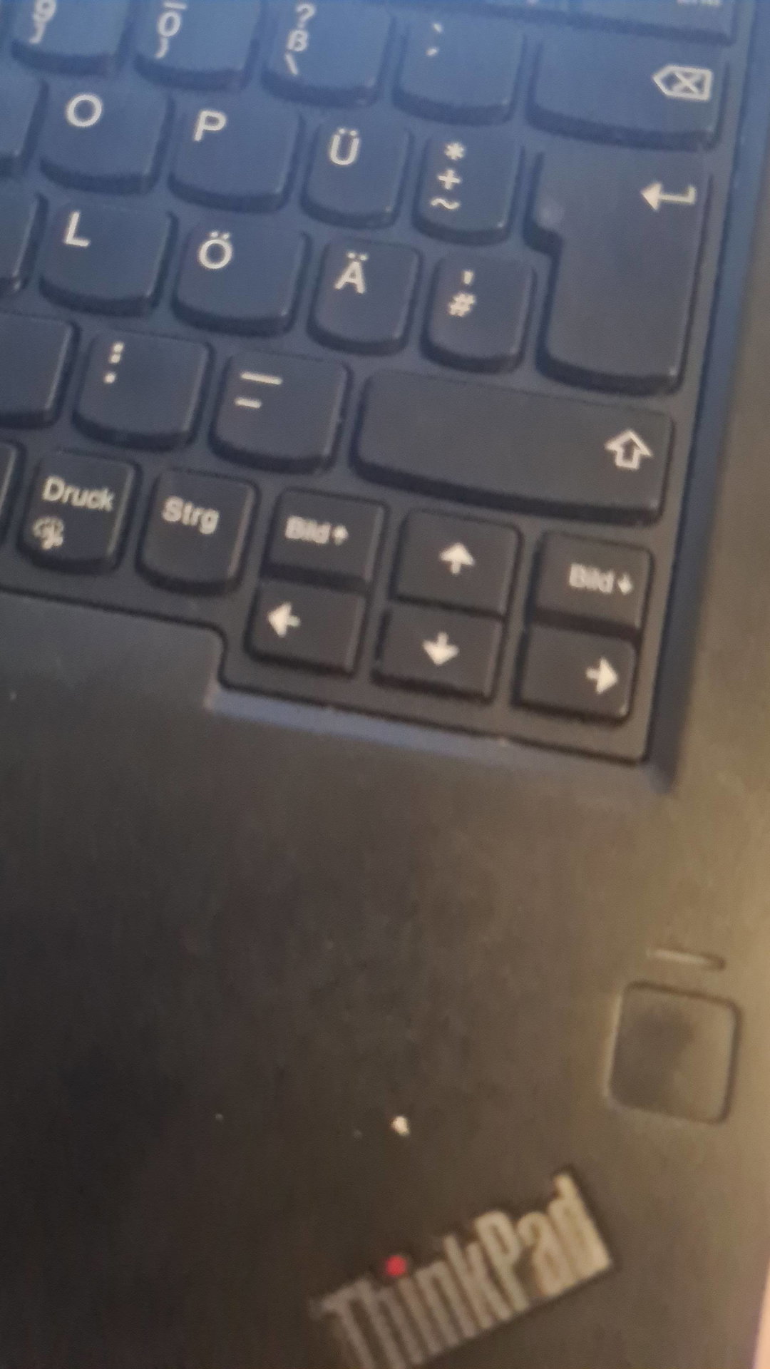 Laptp