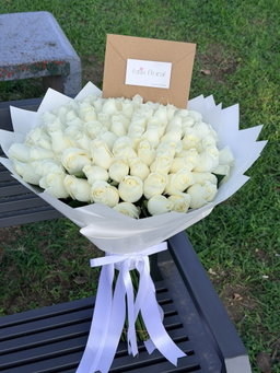 100 Rosas 