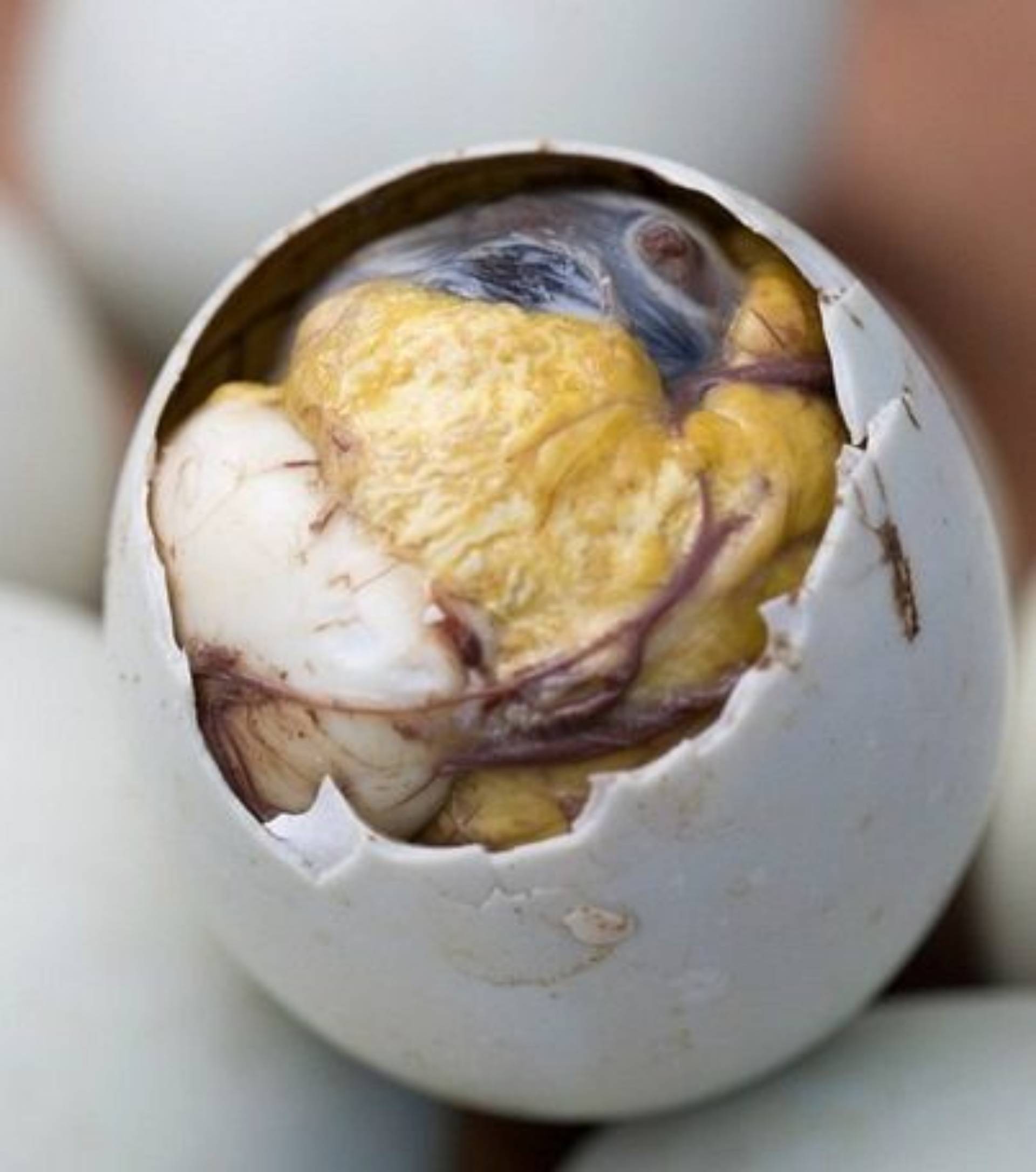 Balut luto (cooked)_0