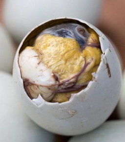 Balut luto (cooked)