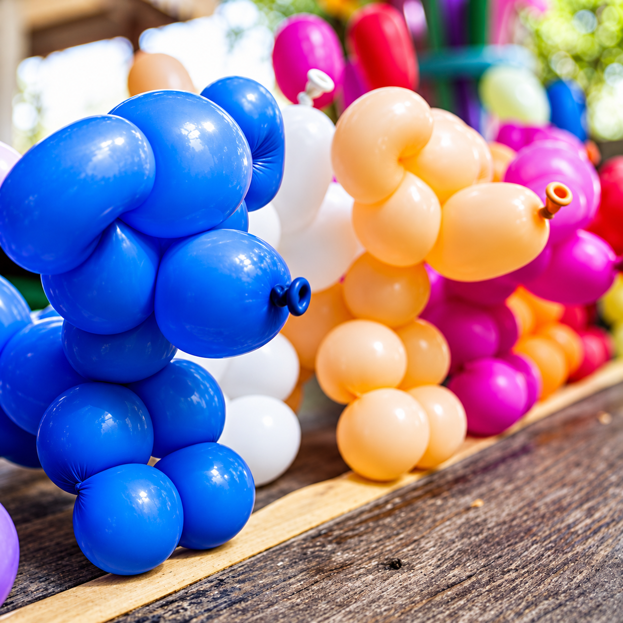Balloon Sculpting_0