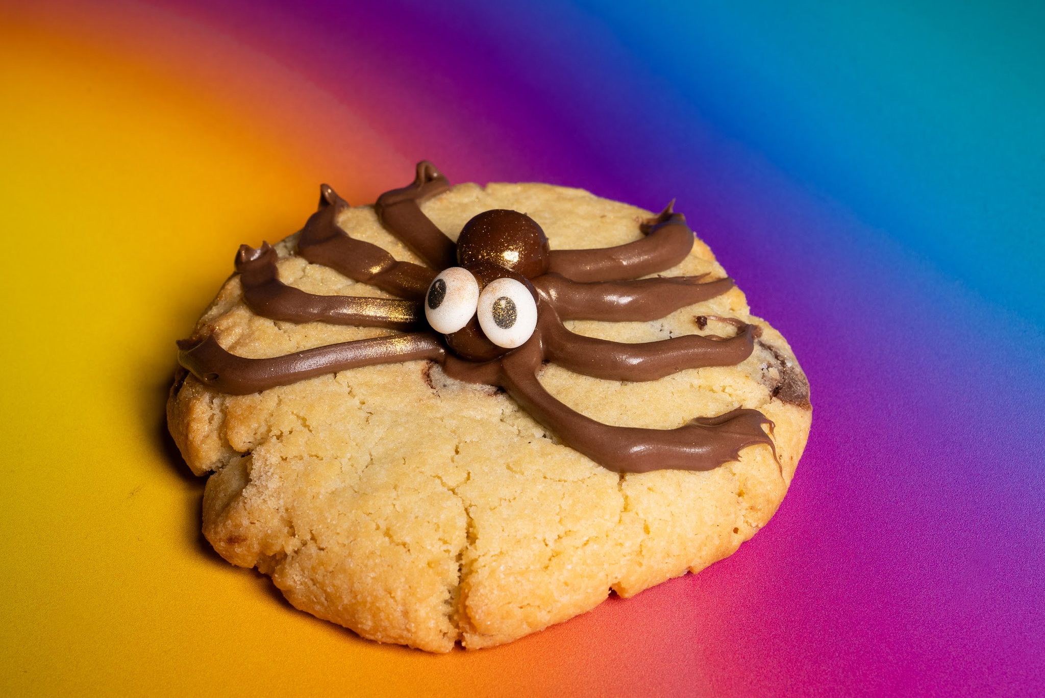 Spider Cookie_0