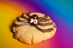 Spider Cookie