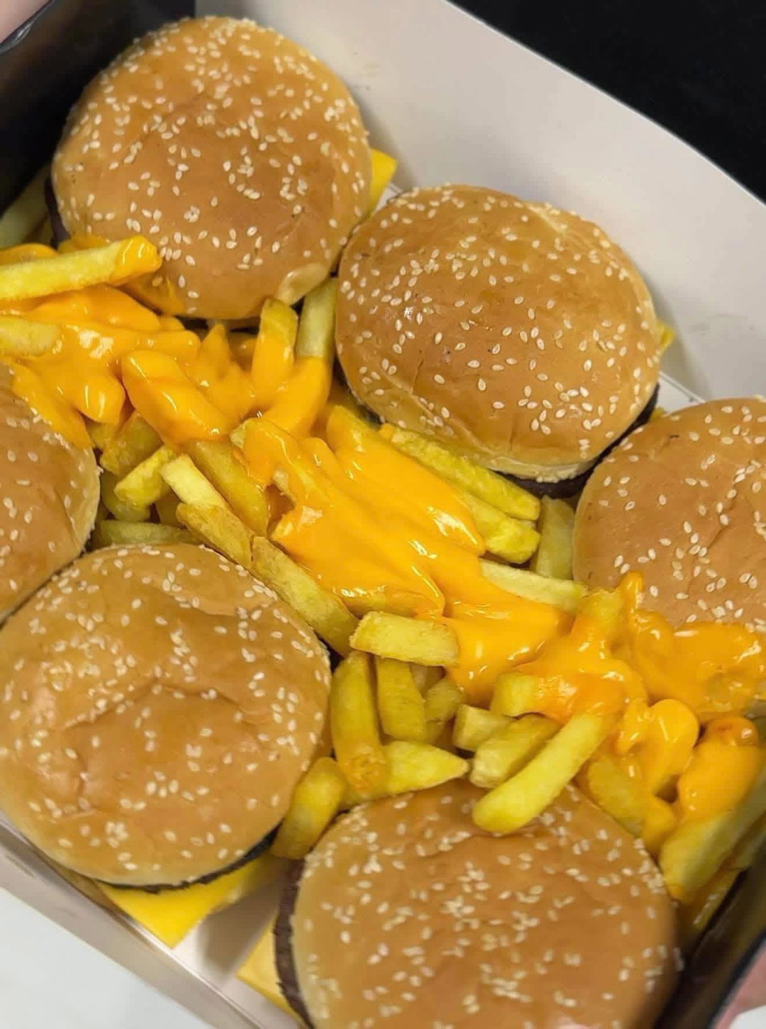 COMBO QUESO BURGUESA