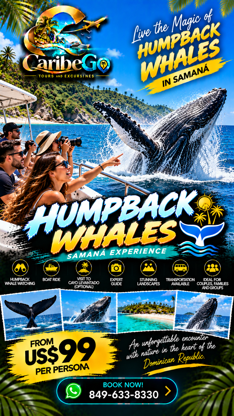 Ballenas Jorobadas Samana 