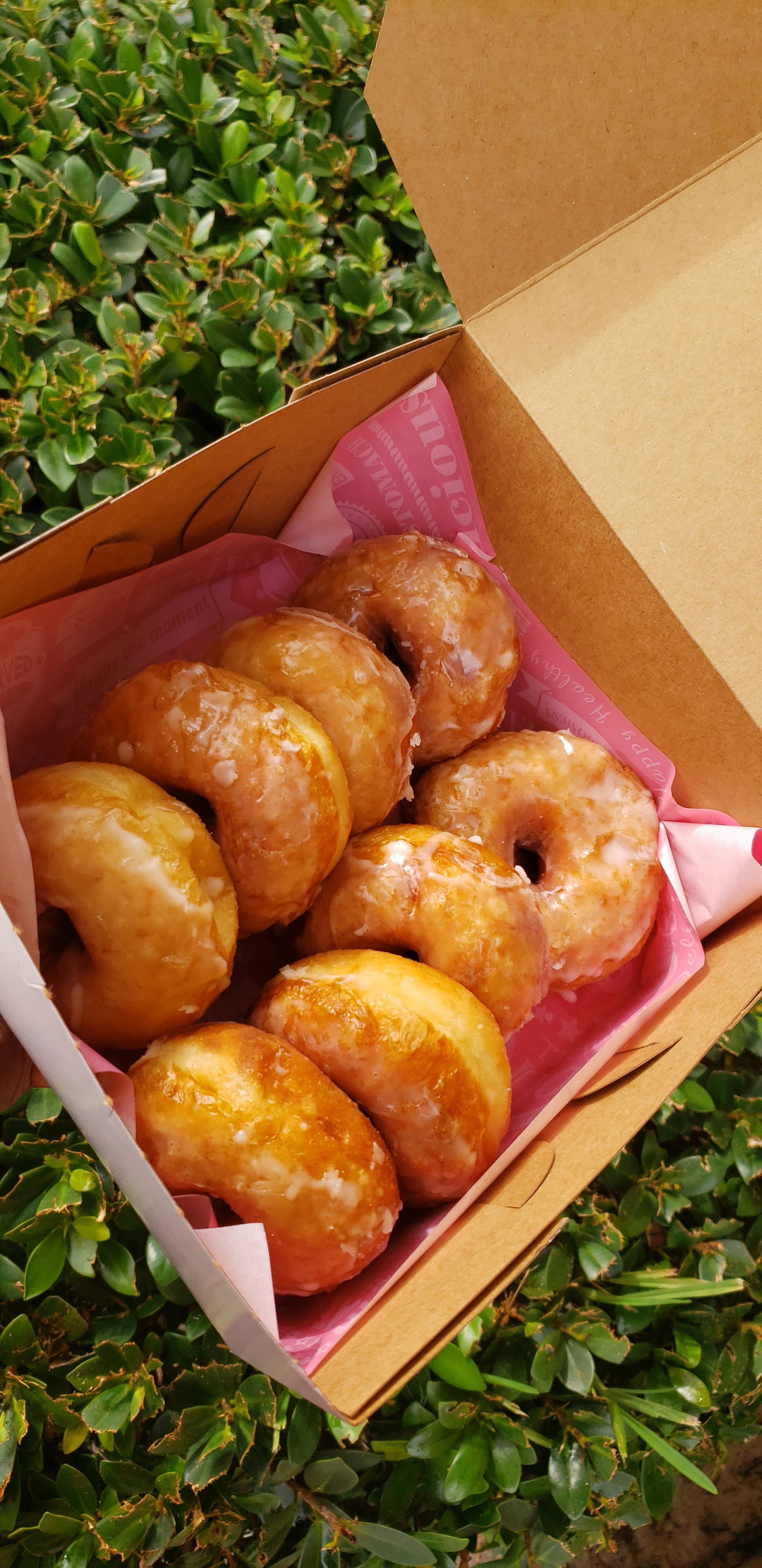 Mini Donut 