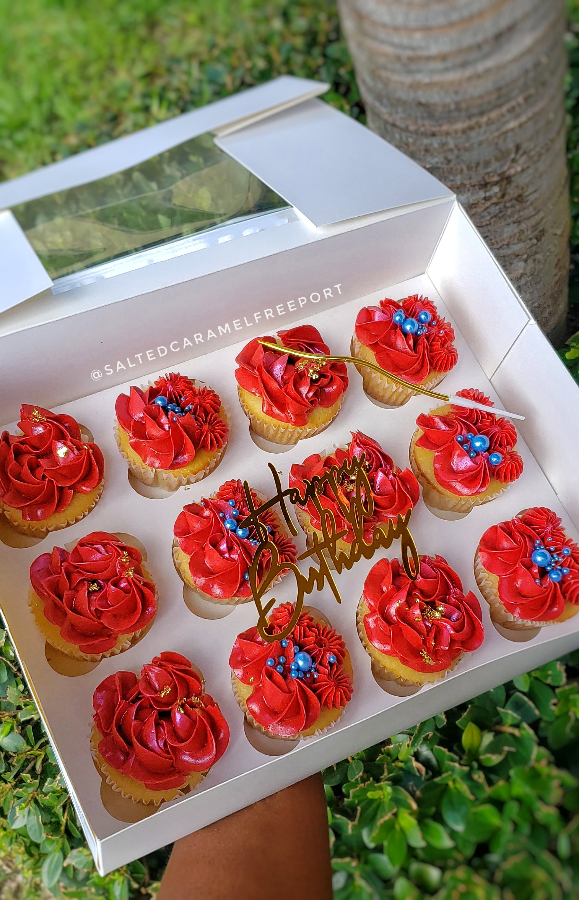 Cupcakes (Per dozen)_2