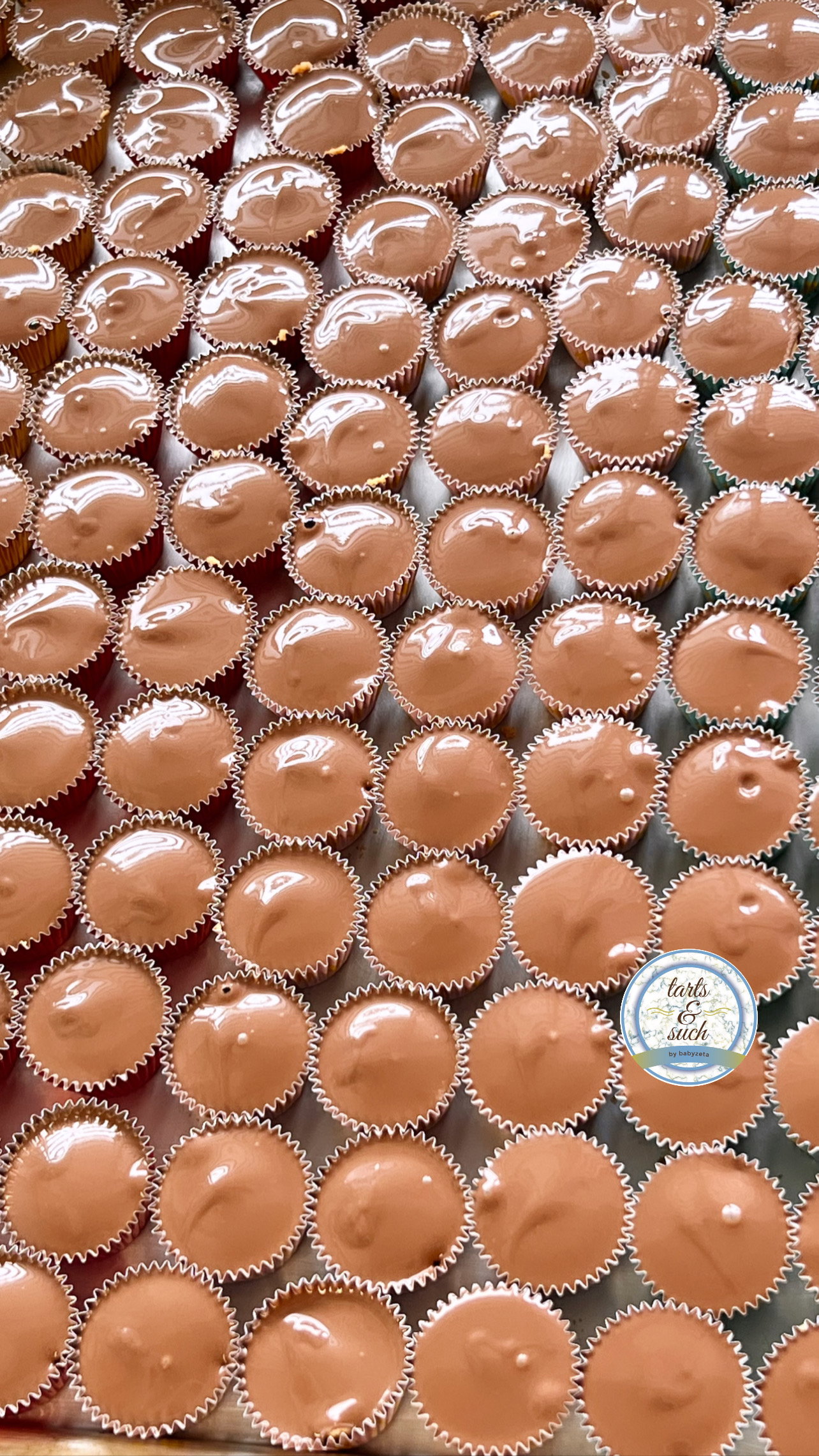 HAZELNUT CHOC CUPPIES (40pcs)_0