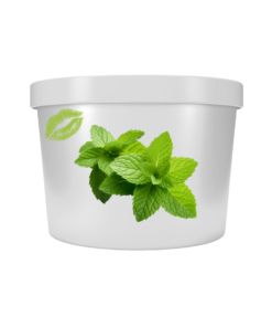 Lip Balm Base – 500ml (Pre-coloured & fragranced)