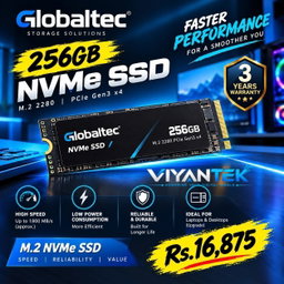 GLOBALTEC 256GB NVMe SSD