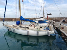 Puma 34