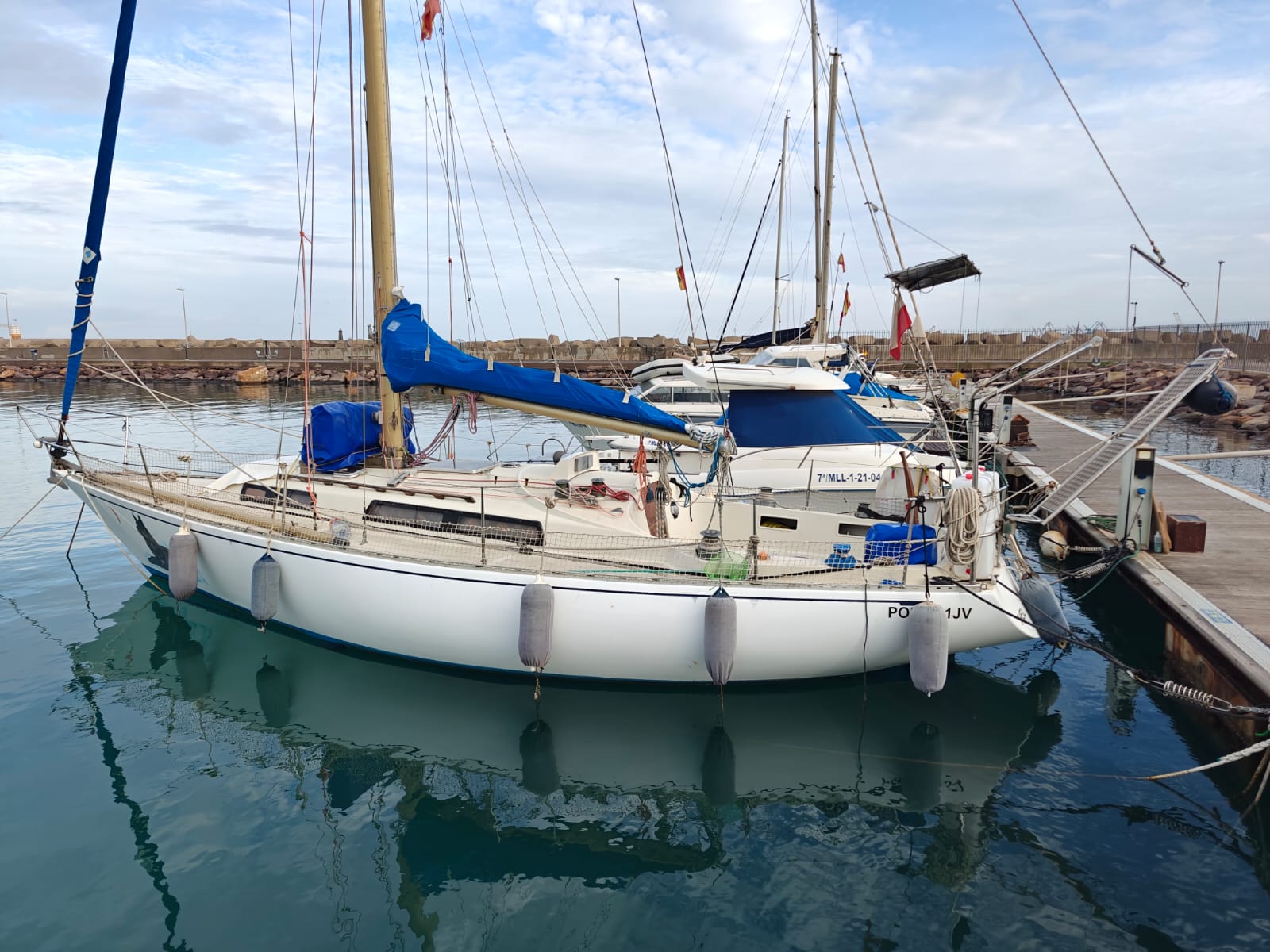 Puma 34