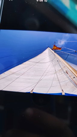 Puma 34