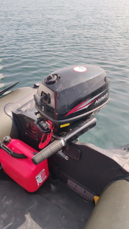 Puma 34