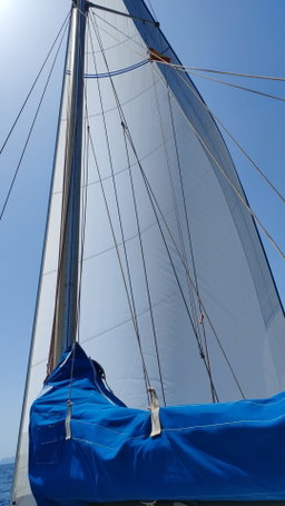 Puma 34
