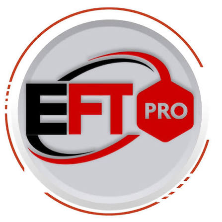Eft pro tool 1 year 