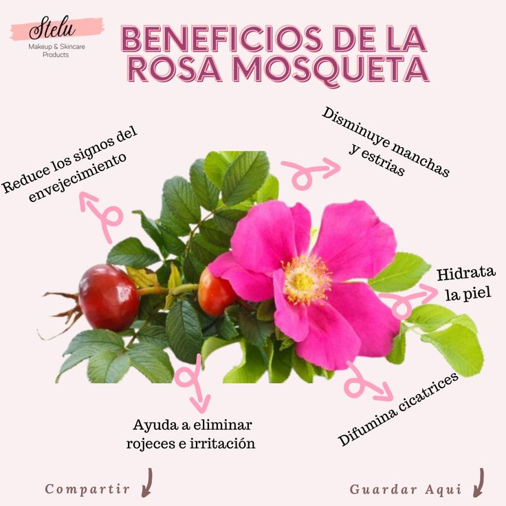 Base de glicerina de Rosa mosqueta _2