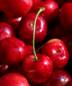 Lip Balm Flavouring