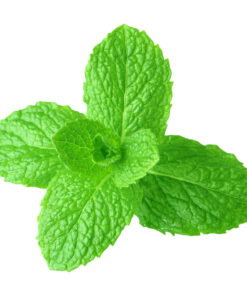 Lip Balm Flavouring