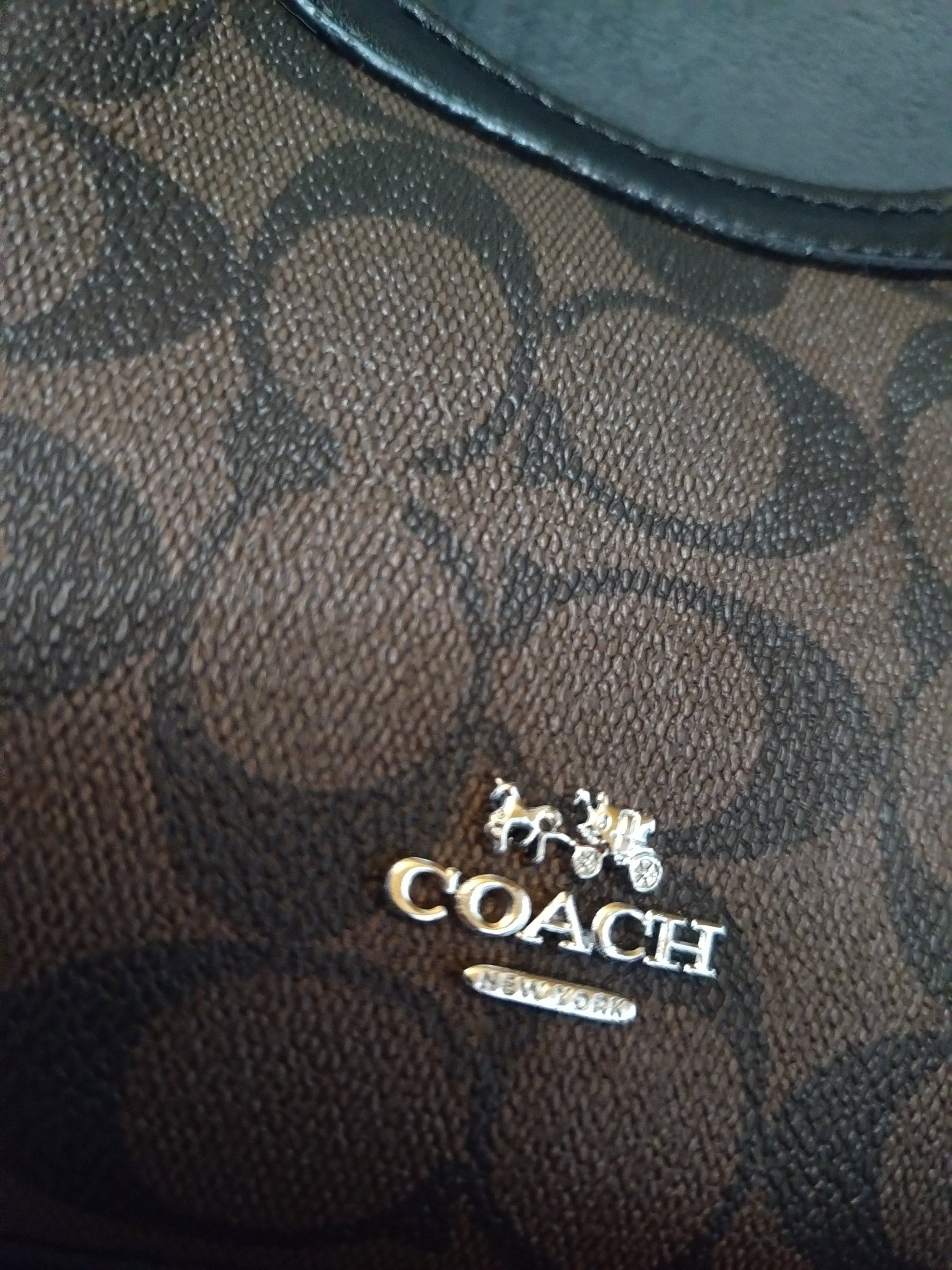 Coach with cherry _1