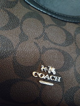Coach with cherry 