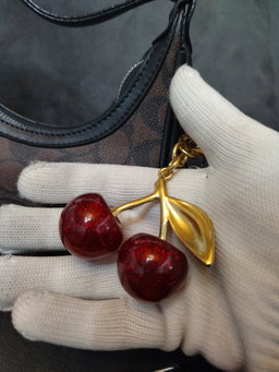 Coach with cherry 