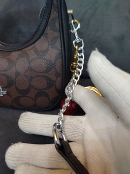Coach with cherry 