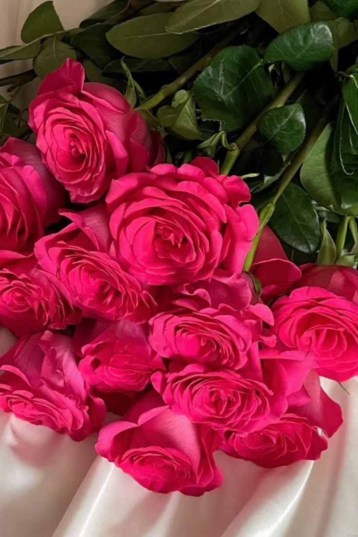 KN105-9 Rose Madam Red 50cm وَردَة_0