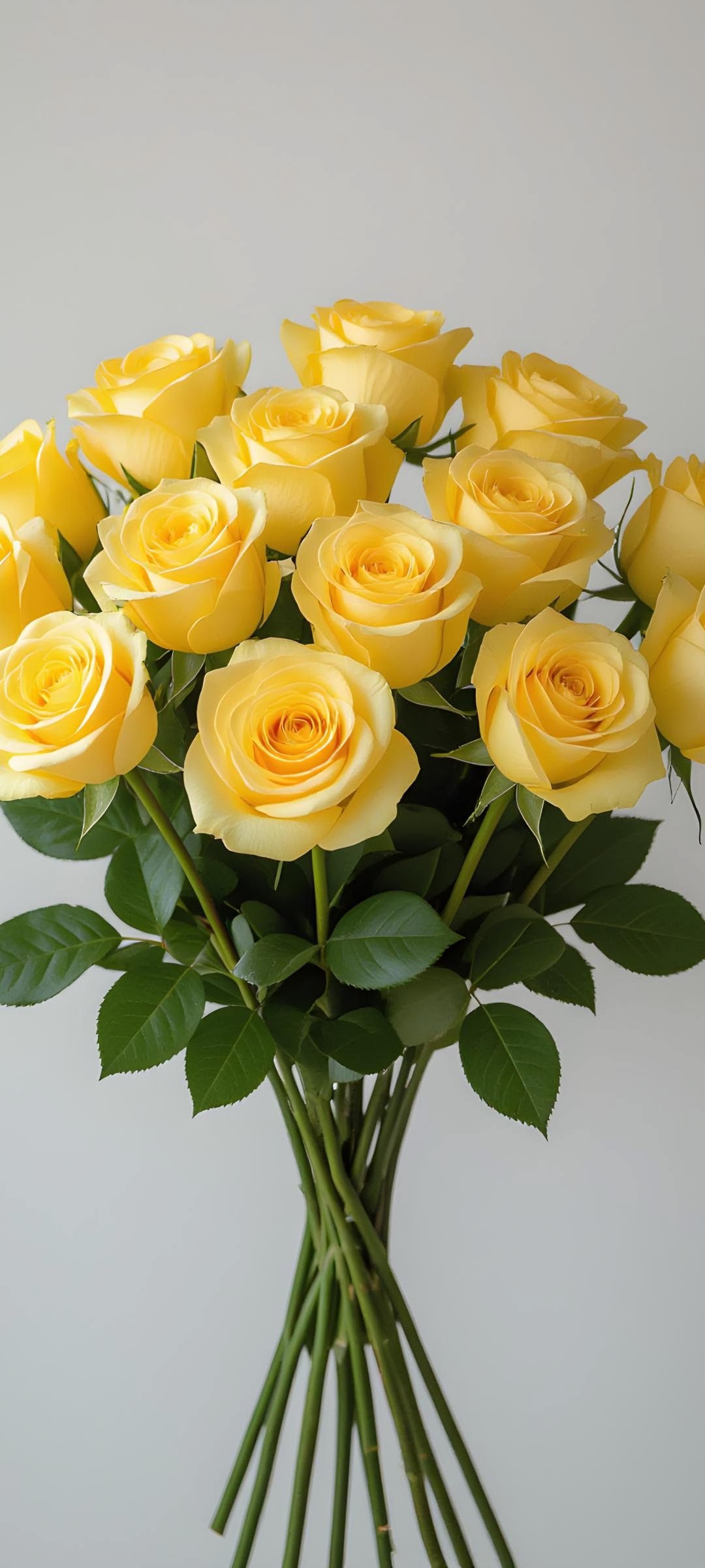 KN105-6 Rose Good Times Yellow 50cm وَردَة
