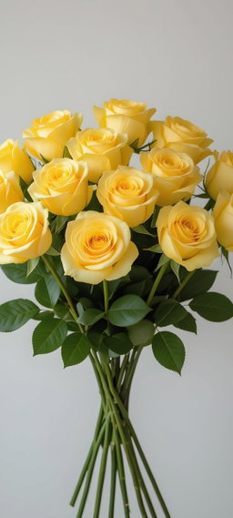 KN105-6 Rose Good Times Yellow 50cm وَردَة