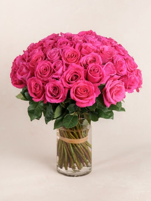 KN105-13 Rose Revival Pink 50cm وَردَة_0