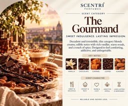 The Gourmand-Fresh (Intimate & Cozy)