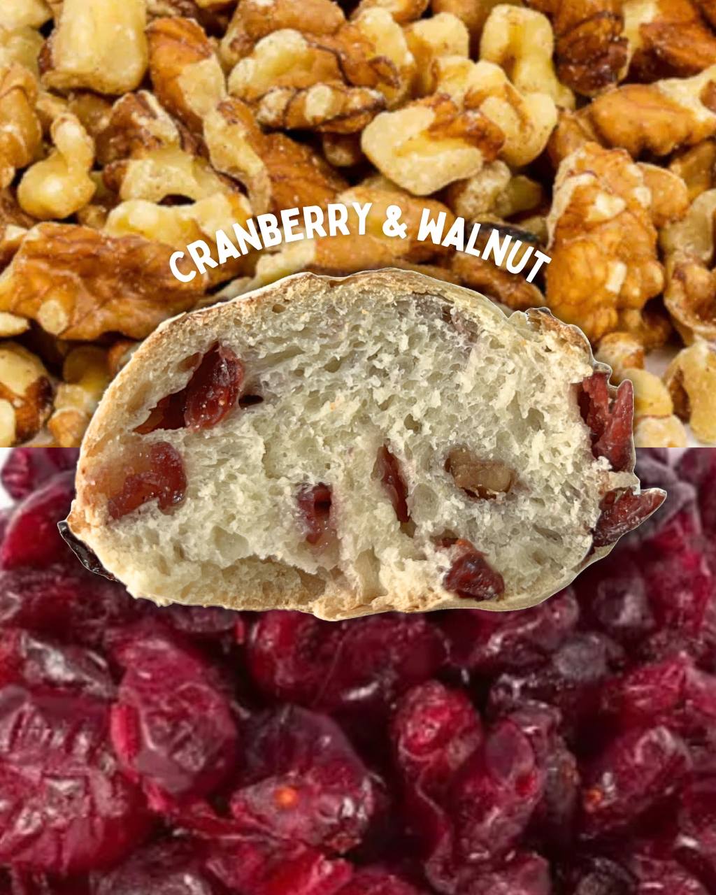 Cranberry & Walnut Sourdough (3 mini loaves)_0