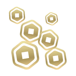 300 Robux  _0