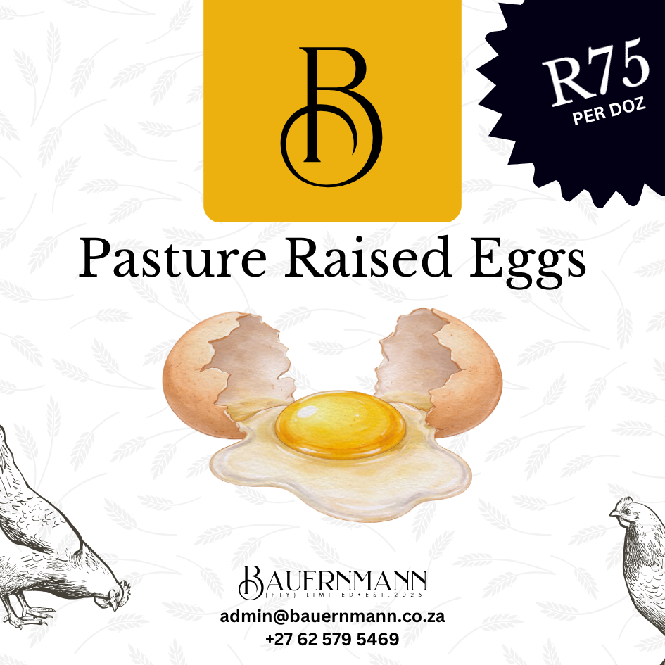 Pasture Raised Eggs - 1 Doz (12 eggs)
