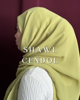 Basic Shawl Curve