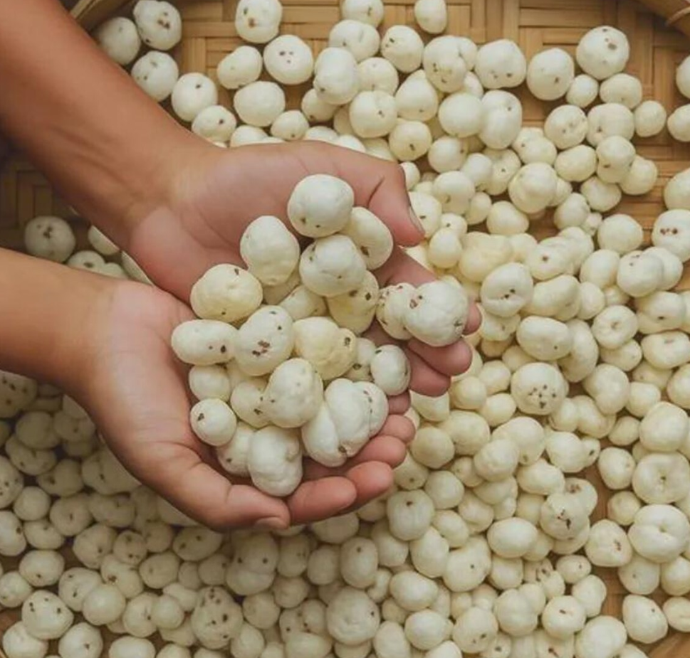 Fox nuts(Makhana)_0