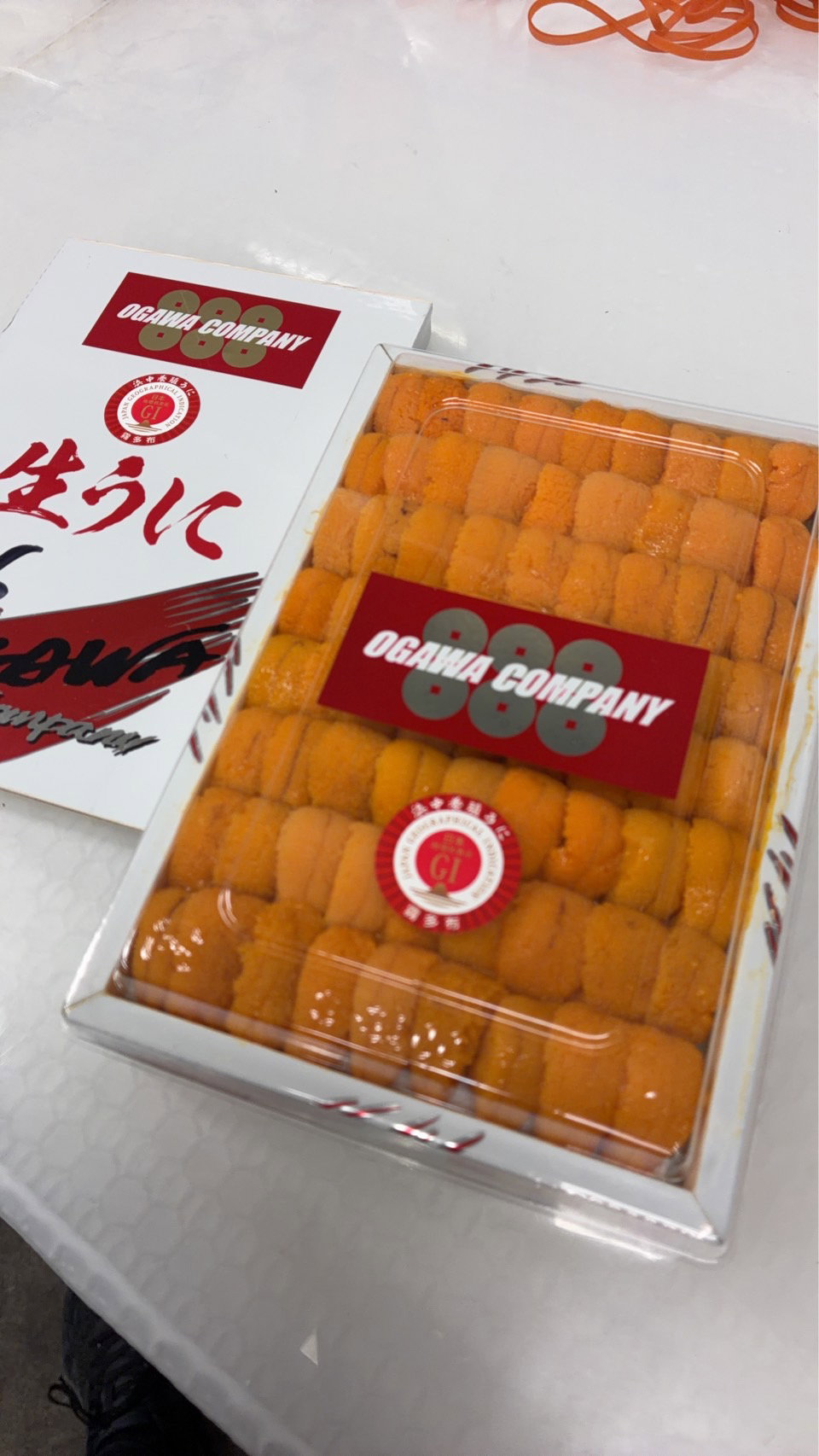 (HKD FARMED, 養殖) 250g '888 カンパニー' Bafun Uni_0