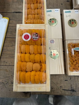 (HKD FARMED, 養殖) 100g 'Kimura 木村' Bafun Uni