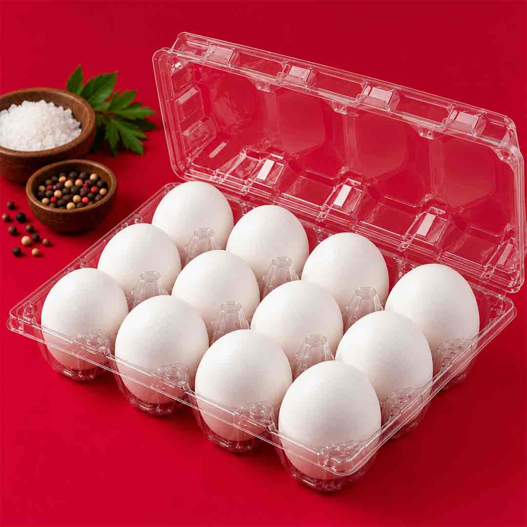 Broiler Egg's_2