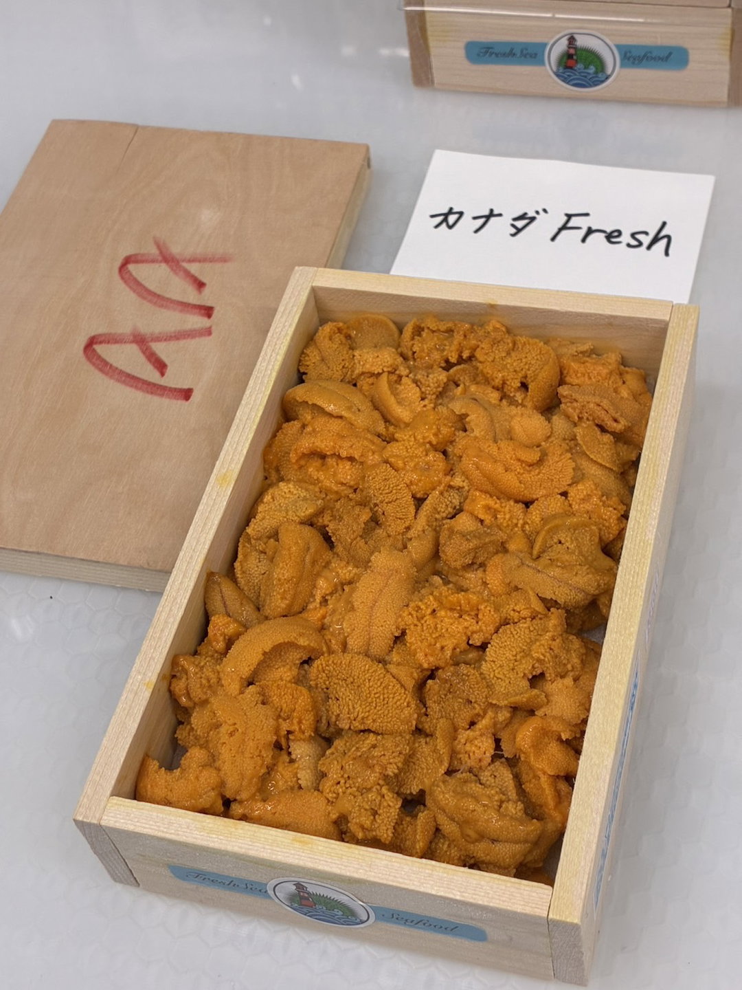 (LAST FRI) 250g 'Sen 鲜‘ Bafun Uni