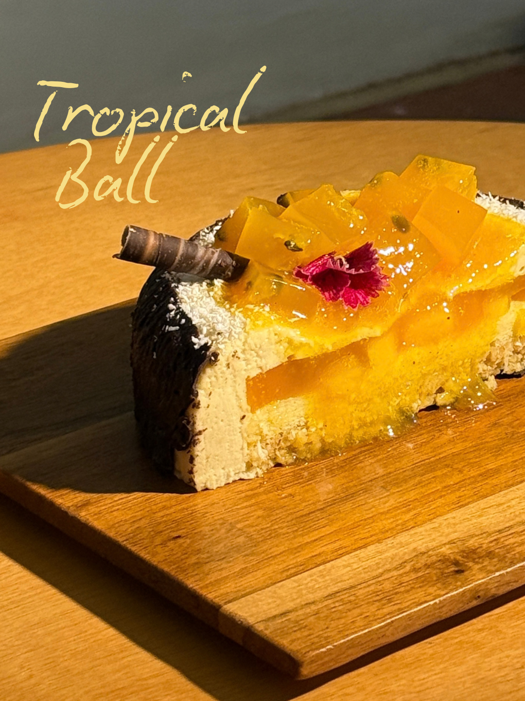 Tropical Ball 熾熱球_3
